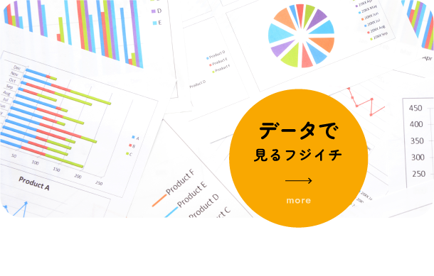 データで見るフジイチ